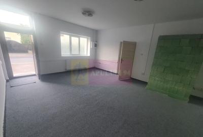 Casa de vanzare in Campina (spatiu comercial) - Zona Lidl - 10