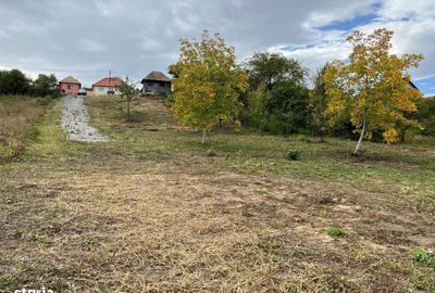 Spațiu comercial, în Gheorghieni - 9