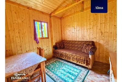 Teren agricol intravilan de 725 mp, în Alma - 11