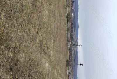 Teren de 3000 mp, în Vața de Jos - 2