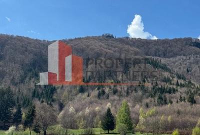 Terenuri Bran - Predelut  Priveliște către Bucegi și Postăvaru - 12