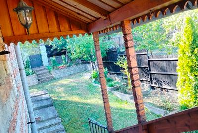 Casă individuală cu 5 camere cu Teren 3000 Mp în Central - 5