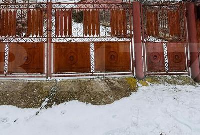 Casă cu 3 camere în Râncăciov - 1