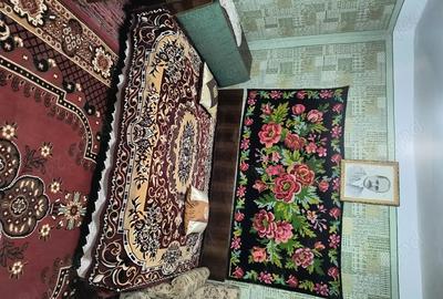 Casa de vinzare In Comuna Ziduri Sat Costieni Buzau la 10 Km de Rm Sarat - 7