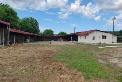 Casă cu 4 camere cu Teren 4800 Mp în Central - 10