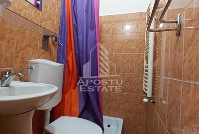 Apartament 1 camera la curte comuna - 6