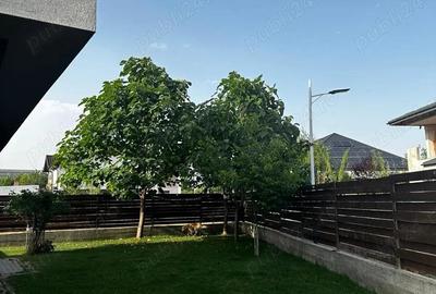 Casa 5 camere si gradina 350 mp de inchiriat in zona Giulesti - 8