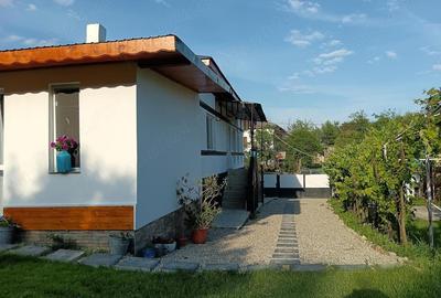 Casă cu Teren 2300 Mp în Fârtățești - 2