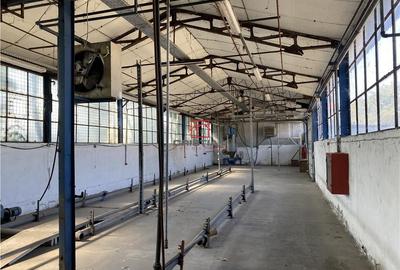 Spațiu comercial, de 350 mp, în Giurgiului - 4