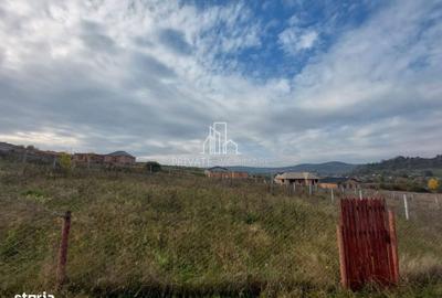 Spațiu comercial, în Poienița - 1