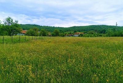 2335 mp TEREN INTRAVILAN, Negreni – Cluj, la 100 m de E60 Cluj – Oradea - 8