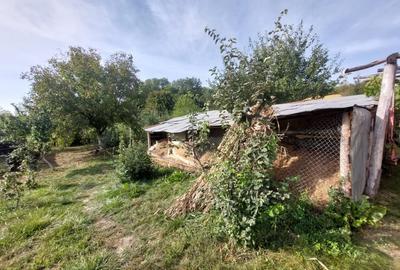 PROPRIETATE SUPERBA IN BIBIRESTI - 8