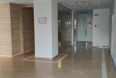 Spatii pentru birouri - de la 140 mp - 5