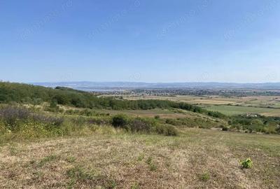 Teren de 3166 mp, în Tileagd - 5