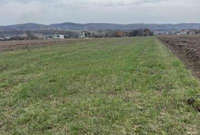 Teren Construcții intravilan de 2660 mp, în Vadu Crișului