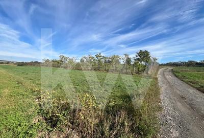 Teren extravilan  3.942 mp de vanzare - Talmaciu, jud. Sibiu - 6
