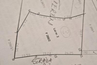 Spațiu comercial, în Cărpiniș - 1