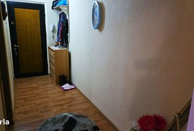 Apartament cu 2 camere decomandat, mobilat în Siderurgiștilor - 12