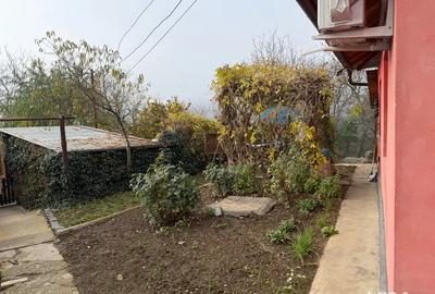 Casă cu 3 camere în Central - 1