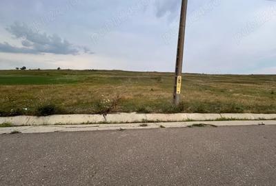 Teren de 12600 mp, în Siliștea - 5