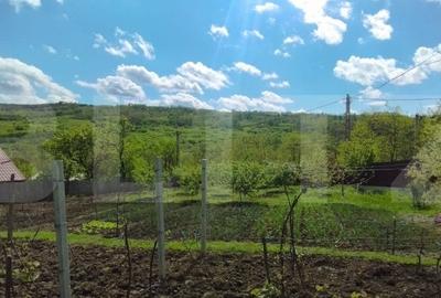 Casa+ casa vacanta, 2200 mp livada, Schitu-Duca - 4