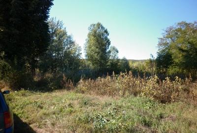 Teren in Ungureni - 6