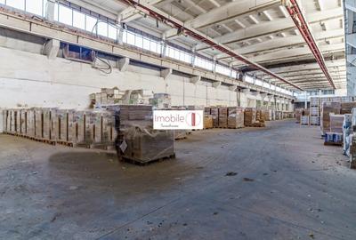 Hala Industriala Turda - 2