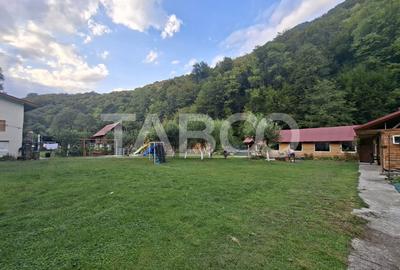 Spatiu de vanzare in Valea Macesului judel Valcea iesire la Lotru - 35