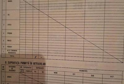 Teren de 45500 mp, în Cogealac - 1