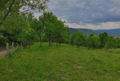 TEREN DE VANZARE PENTRU INVESTITII IN MANASTIREA CASIN TEREN DE VANZARE PENTRU INVESTITII IN MANASTIREA CASIN - 3