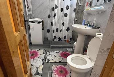 Apartament cu 3 camere decomandat în Crihala - 3