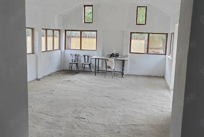 Gospodarie langa Deva - 2