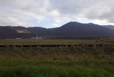 Teren industrial 2000mp DN 73 Soseaua Cristianului Str CUCULUI - 4