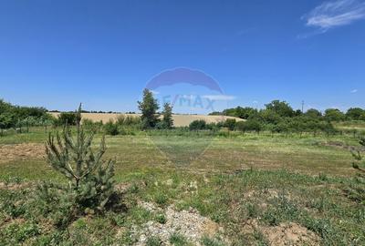 Spațiu comercial, de 1,400 mp, în Potigrafu - 11