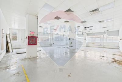 Spatiu multifunctional de birouri si productie langa Kaufland Vitan Spatiu multifunctional de birouri si productie langa Kaufland Vitan - 8