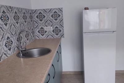 Apartament cu 2 camere decomandat, mobilat în Snagov - 6