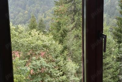 Apartament cu 2 camere în Predeal - 15