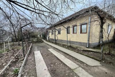 Casa de vanzare , Cetate , Dolj - 4