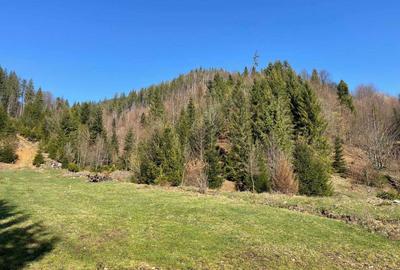 Spațiu comercial, în Voroneț - 1