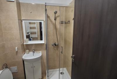 Garsonieră decomandată, mobilată în Chiajna - 11