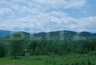 Teren în Scărișoara - 7