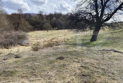 Teren extravilan in suprafata de 7500 mp la poalele Mesesului - 5