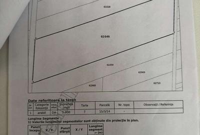 Teren de 5000 mp, în 1 Decembrie
