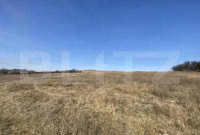 Teren de 140551 mp, în Recea - 11