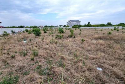 Teren 10.000 mp Giurgiului Tiparnitei - 7