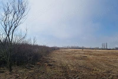 Teren de 62746 mp, în Plopi - 2