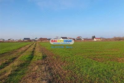 Teren intravilan Crevedia-Manastirea - 1