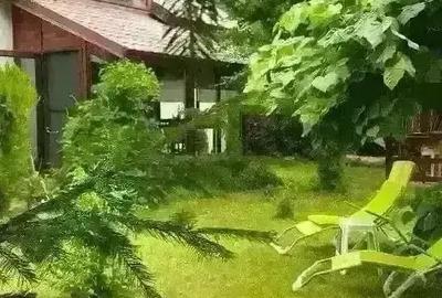 Casă cu 7 camere cu Teren 300 Mp în Lepșa - 9