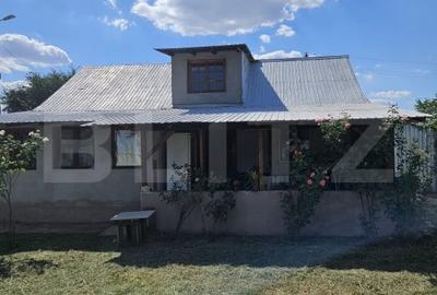 Casa ideala familie - 2