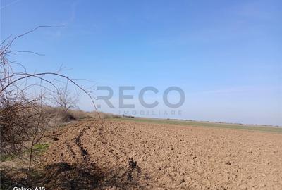 Teren de 10000 mp, în Biharia - 4